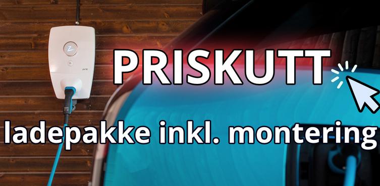 Vi leverer elbillader inklusive montering til en god pris!